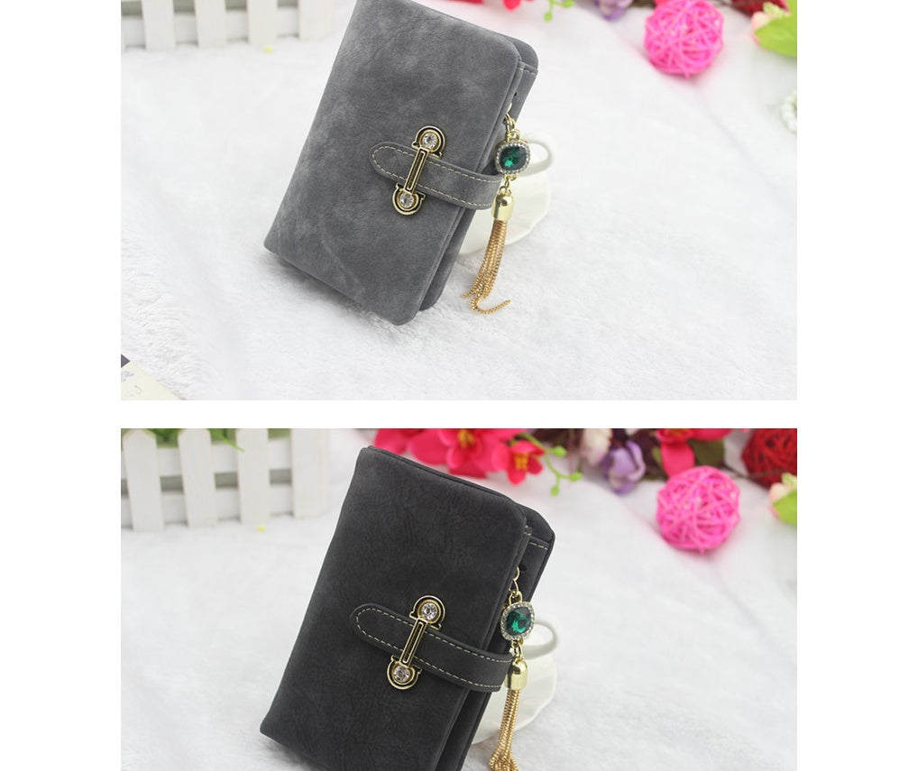 Scrub ladies multi-function coin purse tassel pendant wallet ladies wallet