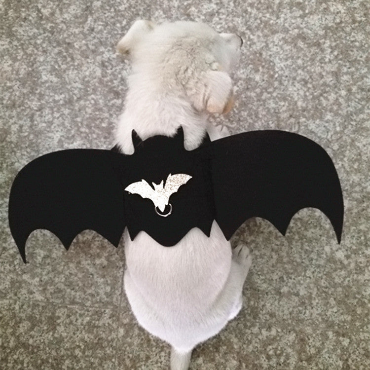 Dog dressed up with bat wings