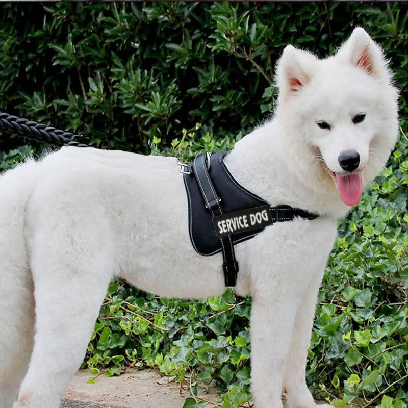 Chest strap for pet dog