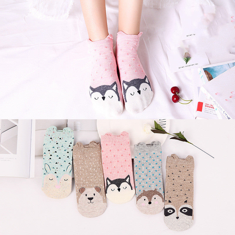 Invisible cute spring and autumn day socks