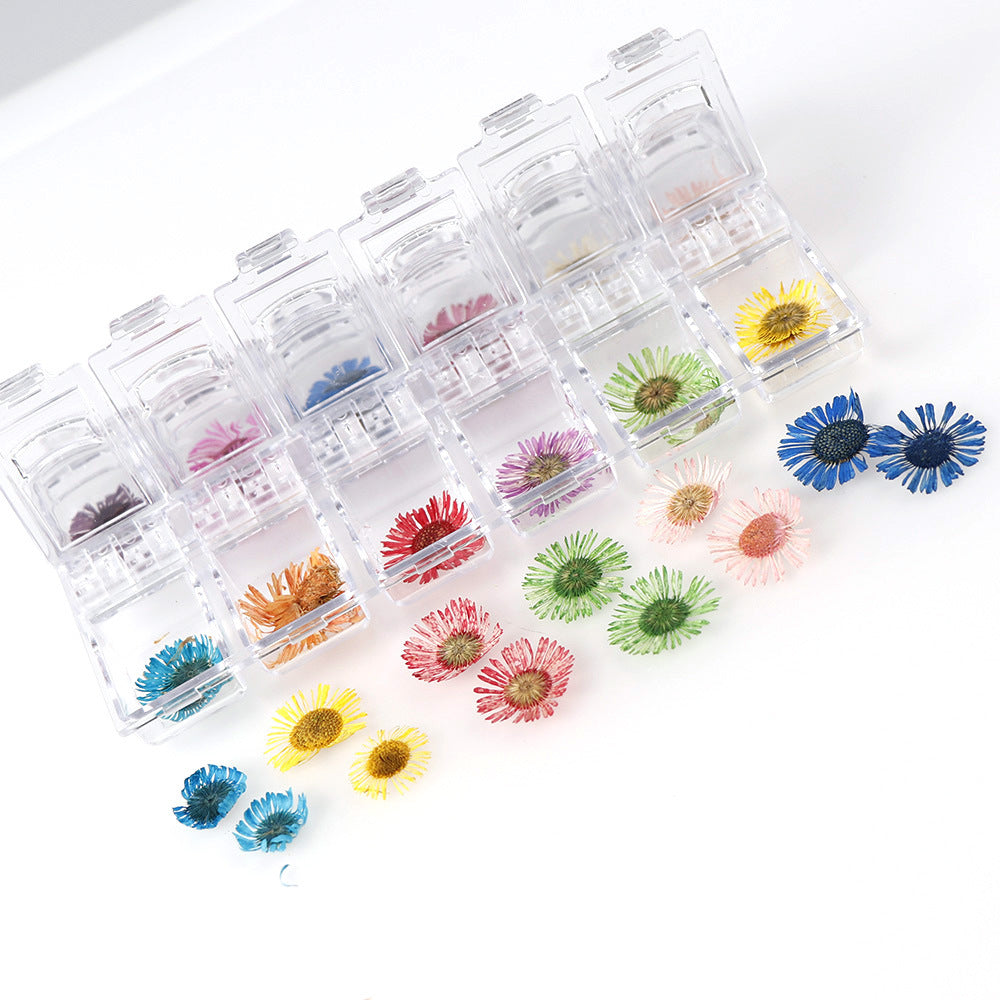 Nail Accessories Handmade DIY Nail Patches With Dried Flowers