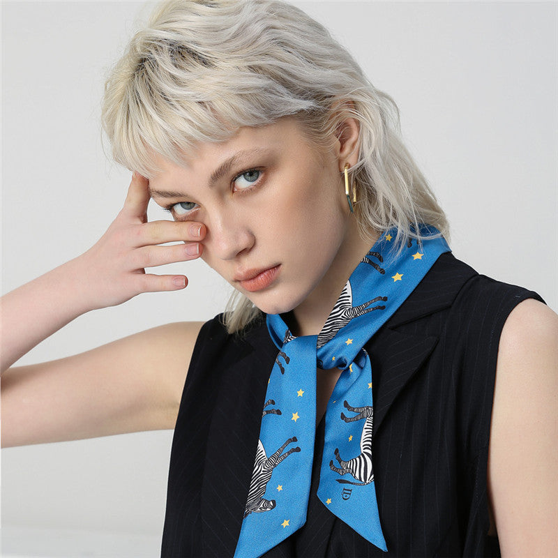 Cartoon starry zebra gift scarf