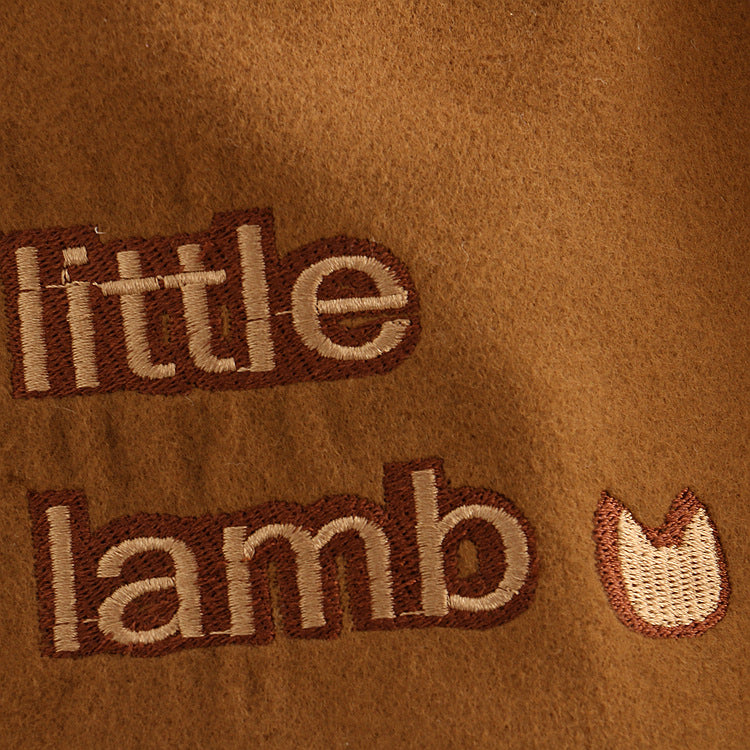 Plush Japanese style woolen shorts