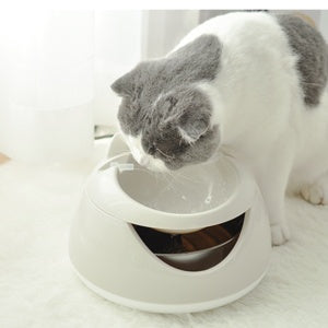 Automatic water dispenser