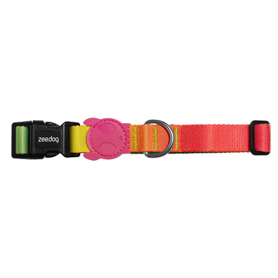 Gradient color dog collar