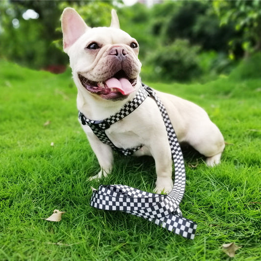 Plaid chest and back fast dog strap