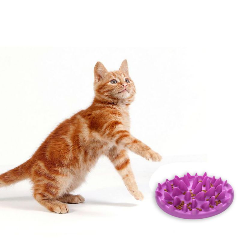 Silicone Slow Food Bowl