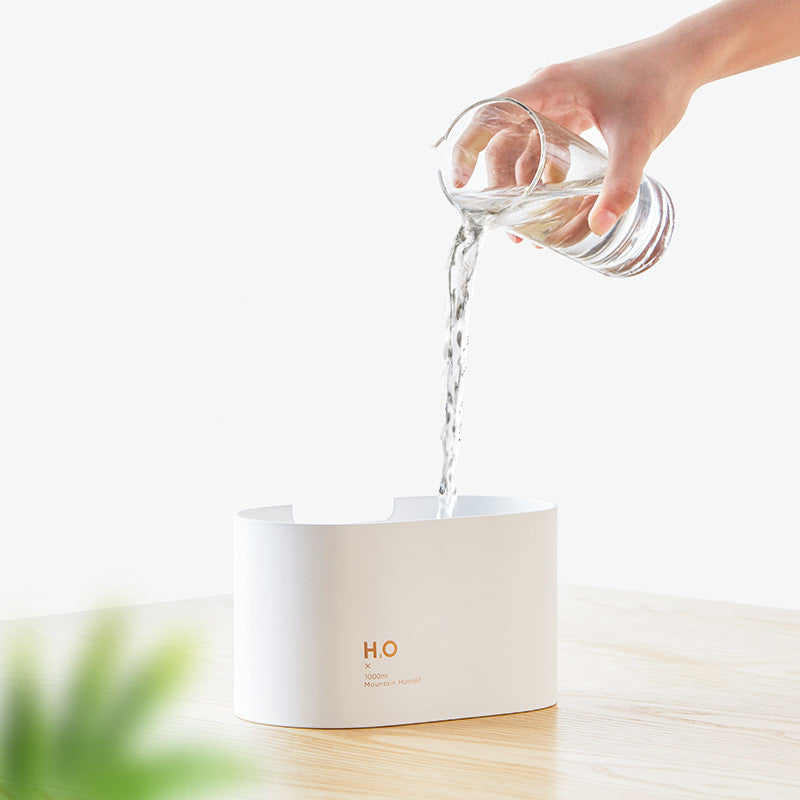 Wireless Mini USB charging sprayer