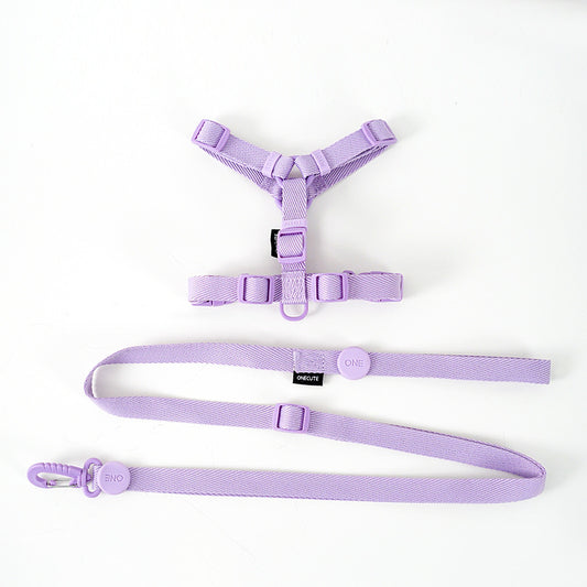 Korean Version Of Cat And Dog Pet Macaron H-type Collar Chest Back Lead Rope