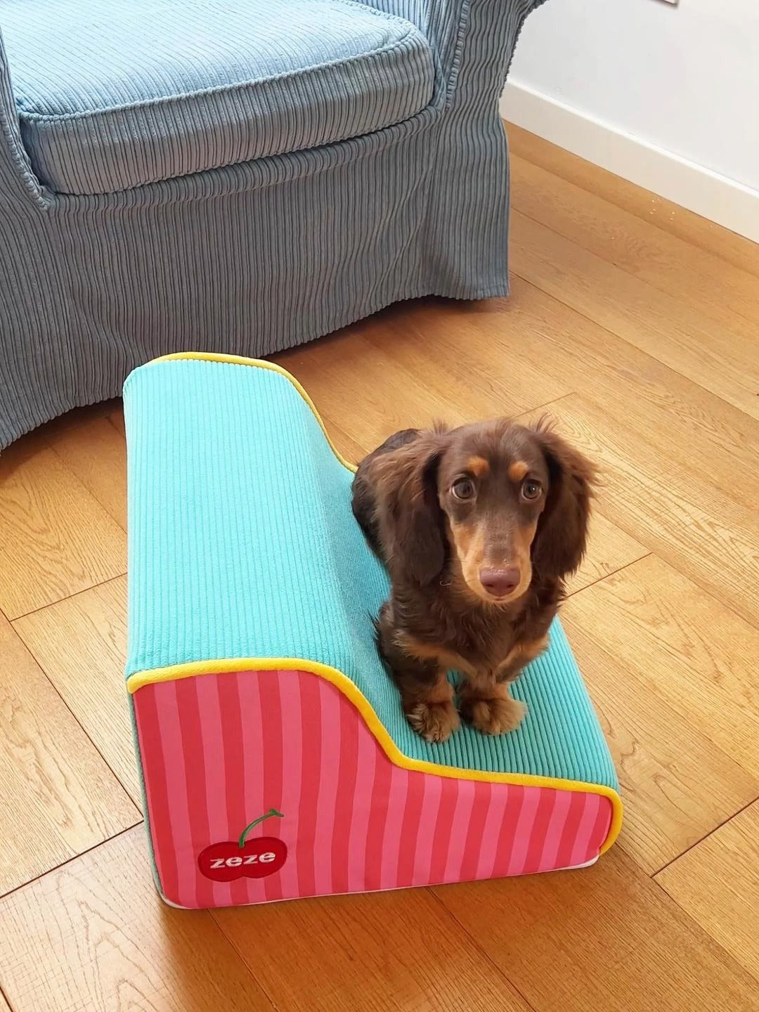 Pet Stairs Step Small Removable And Washable Sponge