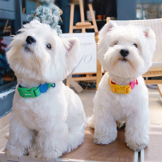 Waterproof Nylon Dog Collar With Traction Rope