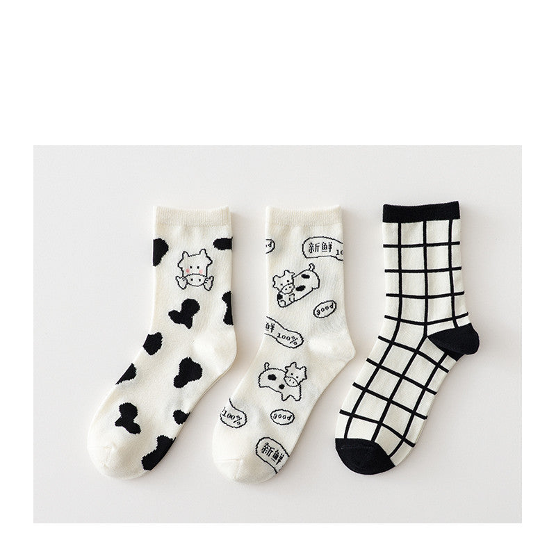 Female Socks In The Comfort Tube