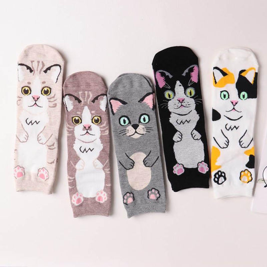 Spring and autumn new cartoon straight socks female adult animal cute female socks cat cotton socks in stockings