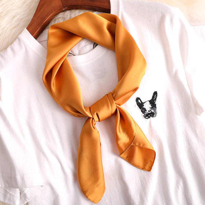 Women's Decorative Spring And Autumn All-match Solid Color Thin Silk Scarf