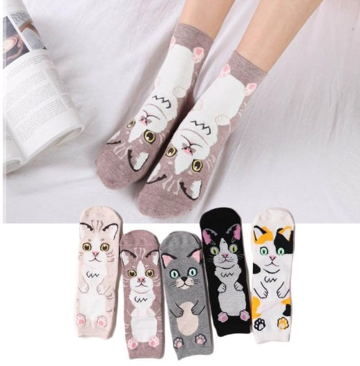 Spring and autumn new cartoon straight socks female adult animal cute female socks cat cotton socks in stockings