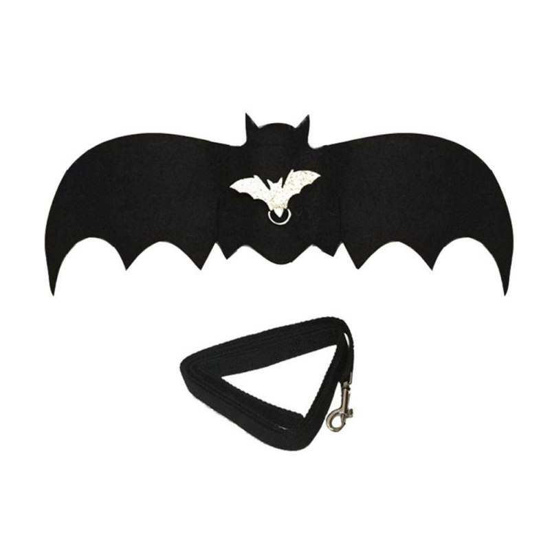 Dog dressed up with bat wings