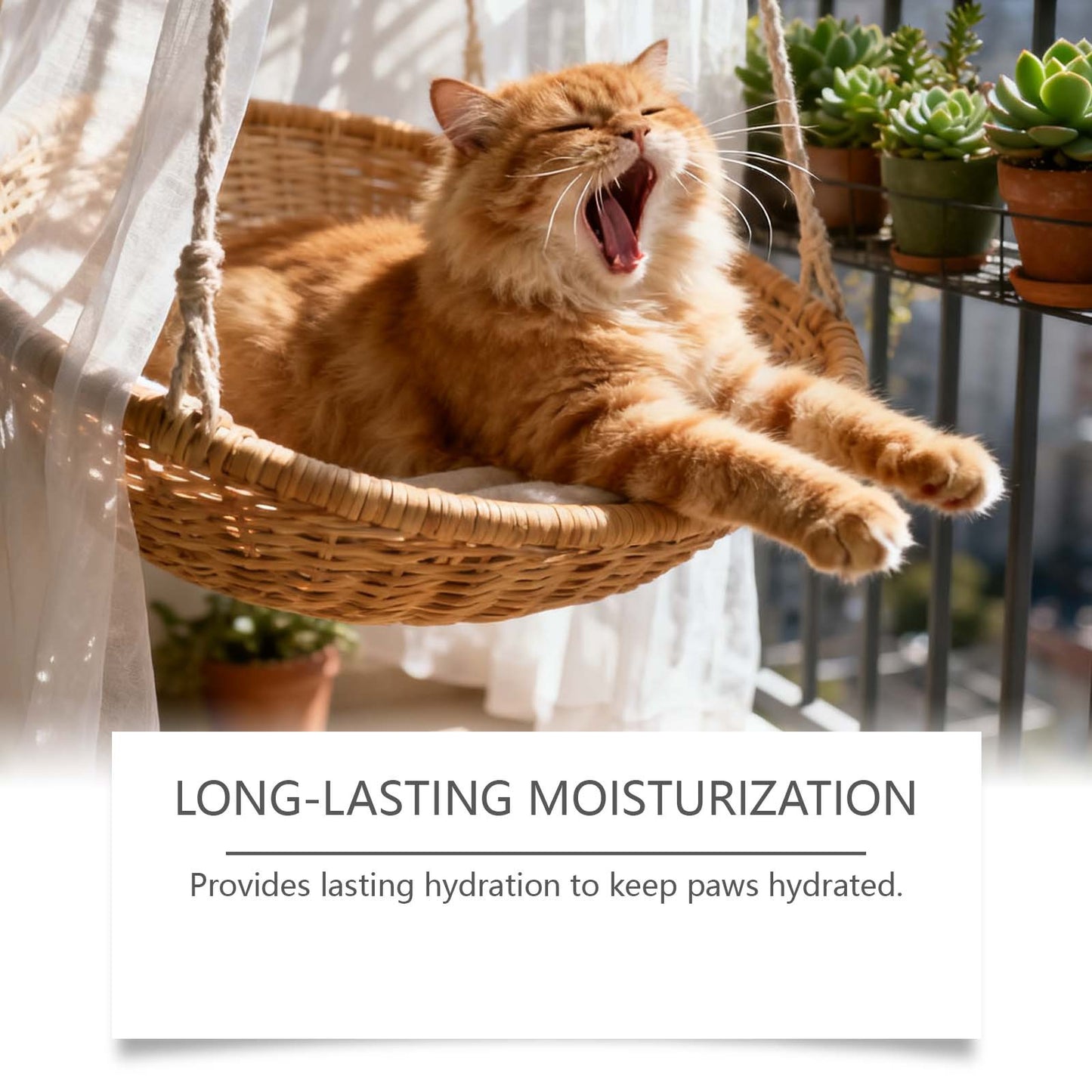 Pet Paw Balmgentle Moisturizing And Nourishing