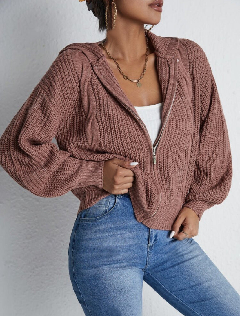 Autumn And Winter Hooded Cardigan Knitted Waffle Sweater Top