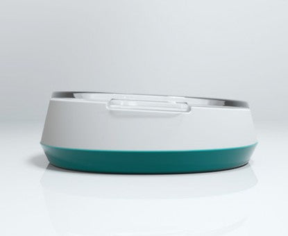 Pet glass bowl