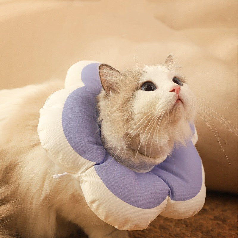 Anti Licking Soft Cap Cat Collar