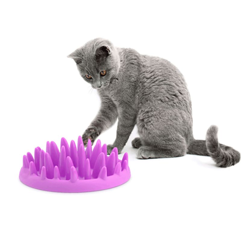 Silicone Slow Food Bowl
