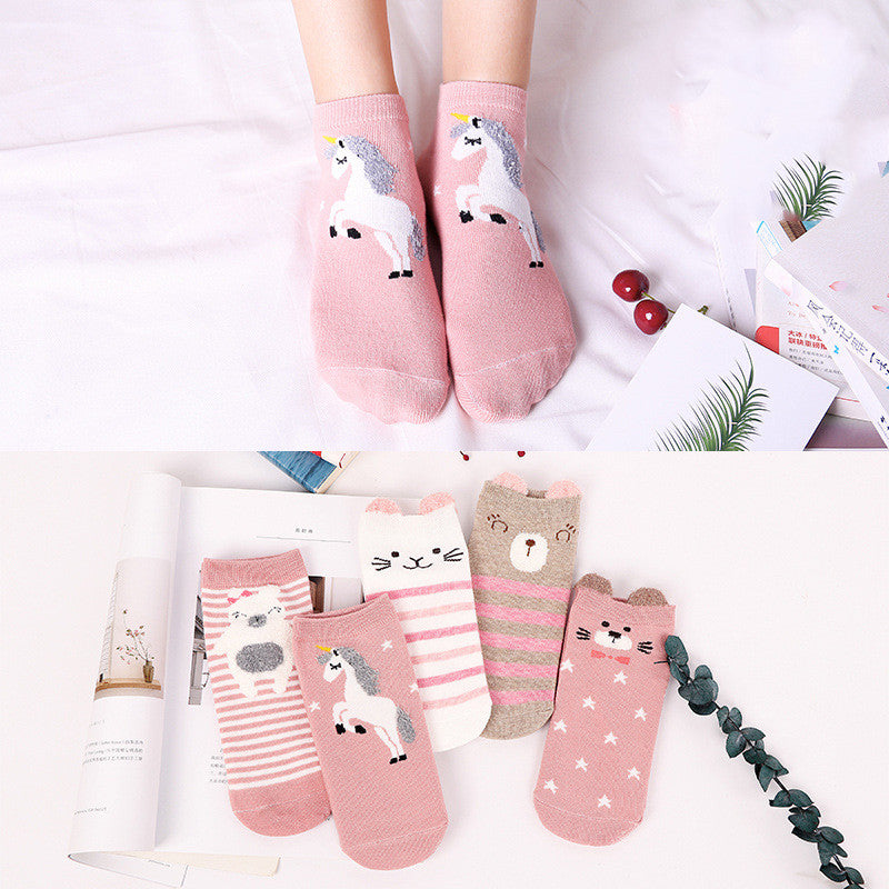 Invisible cute spring and autumn day socks