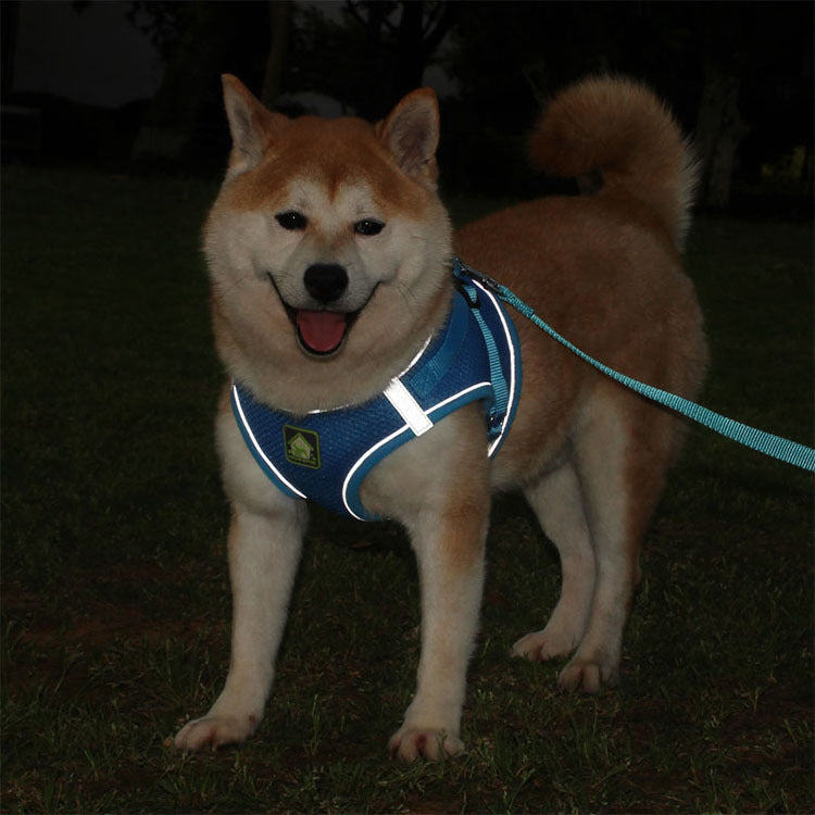 Reflective chest strap