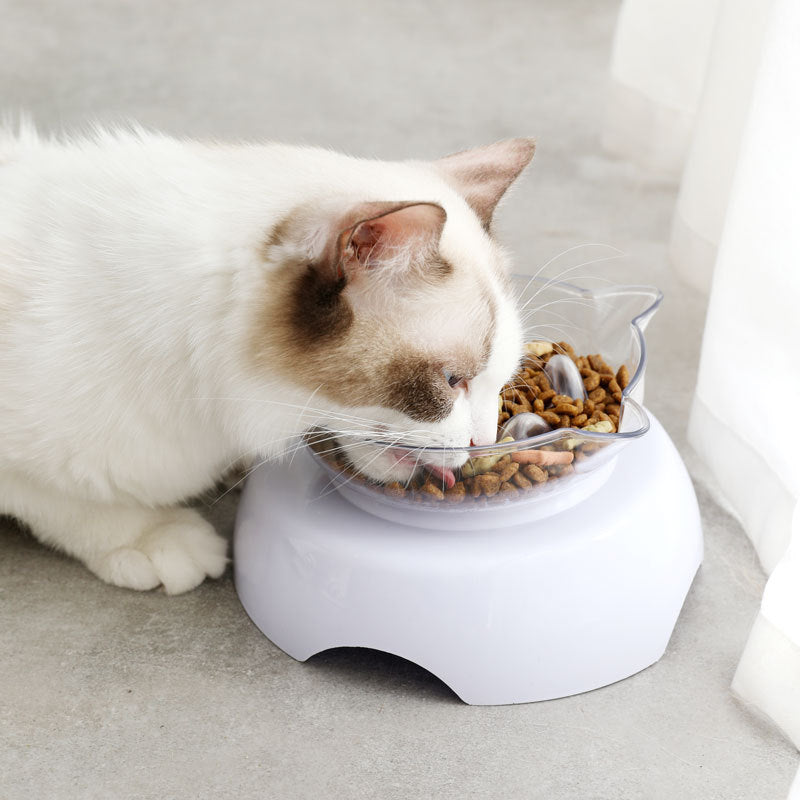 Oblique Mouth Protects The Cervical Spine Transparent Plastic Cat Bowl