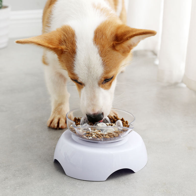 Oblique Mouth Protects The Cervical Spine Transparent Plastic Cat Bowl