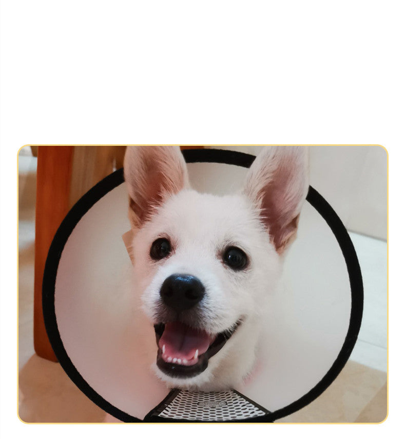 Anti-Licking Cat Collar Collar Dog Pet Elizabeth Kitten Collar