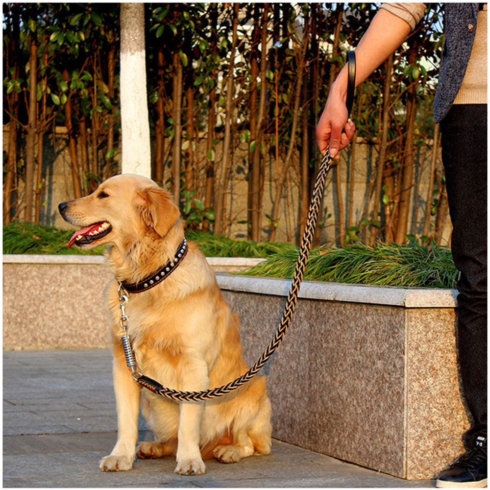 Pet Eight-strand Cowhide Spring Traction Rope
