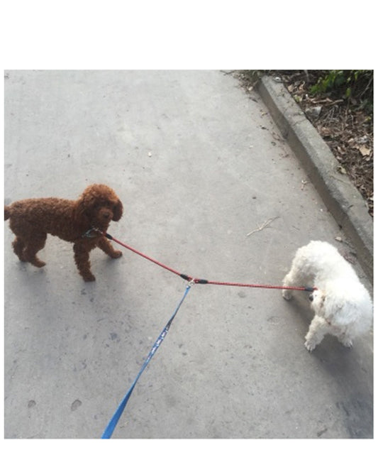 High-Quality Pet Double-Ended Traction Rope