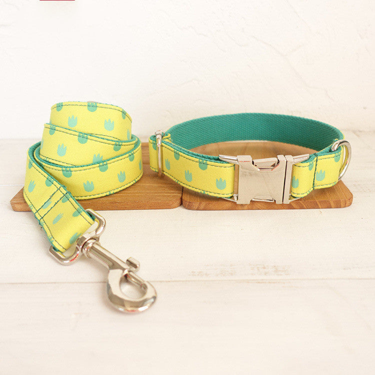 Dog Collar Leash Set Labrador
