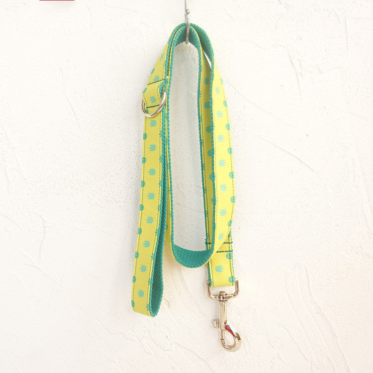 Dog Collar Leash Set Labrador