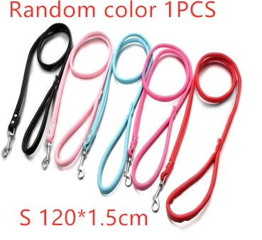 Double row flower pet collar