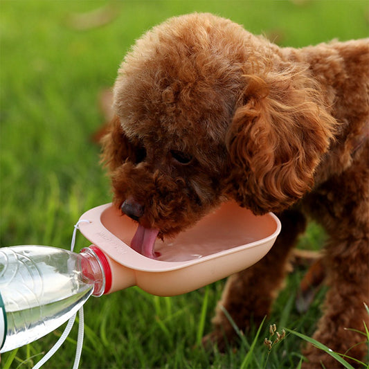 Candy-colored Pet Portable Drinking Bowl