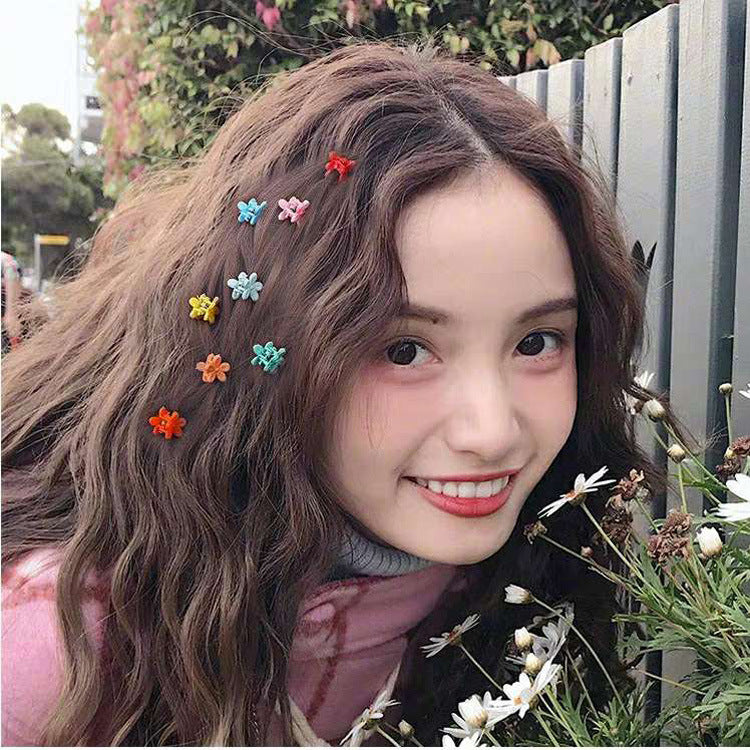 Hyuna Hair Clip Small Plum Catching Clip Hairpin