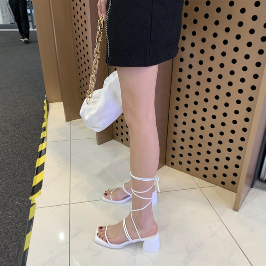 Strap Around The Foot Thick Heel Fairy Shoes