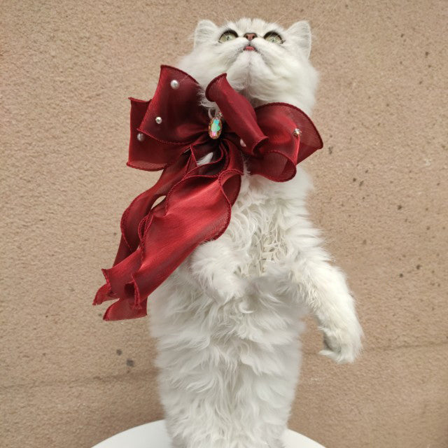Pet Accessories Cats Dogs Big Bow Puppets Cat Bib Fairy Saliva Towel Collar Bow Tie Adjustable