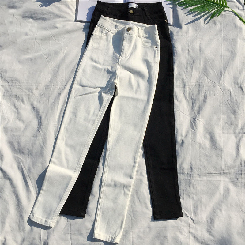 Women'S Leggings Wear Cropped Trousers Outside