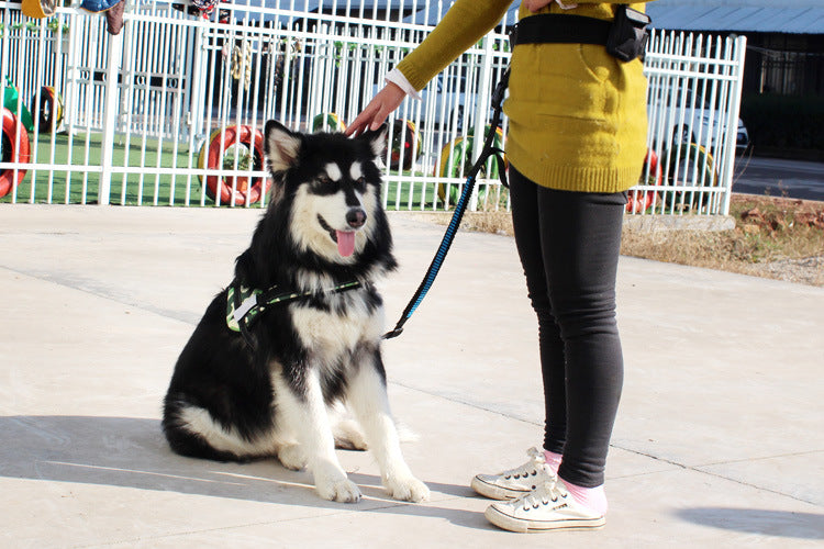 Multifunctional running dog leash Nylon cushioned stretch dog leash for morning run