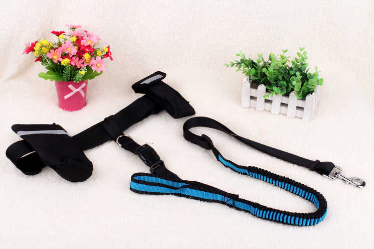 Multifunctional running dog leash Nylon cushioned stretch dog leash for morning run