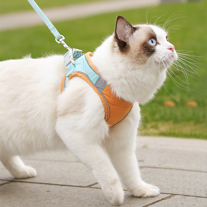 Comfortable Traction Rope For Out And Breathable Cats