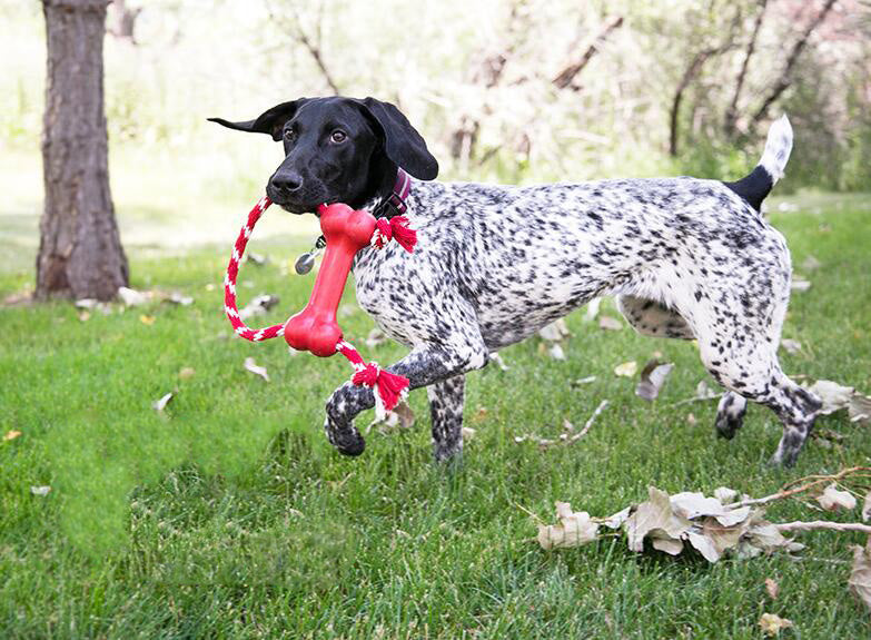 Natural Rubber Intelligence Rope Knot Clean Teeth Bite Resistant Dog Toy