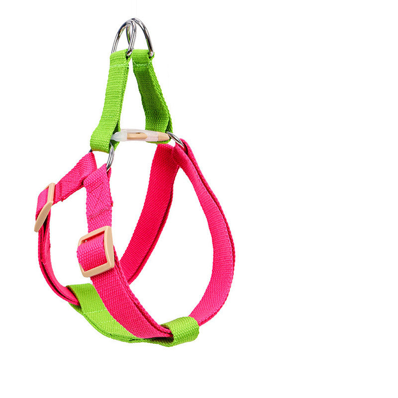 Leash For Medium And Large Dogs