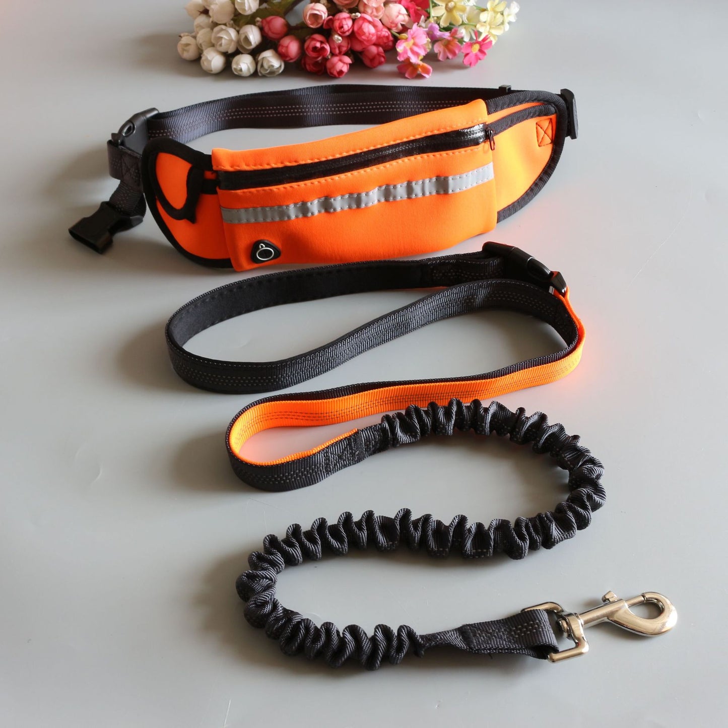 Pet Traction Rope Pocket Running Two-piece Suit