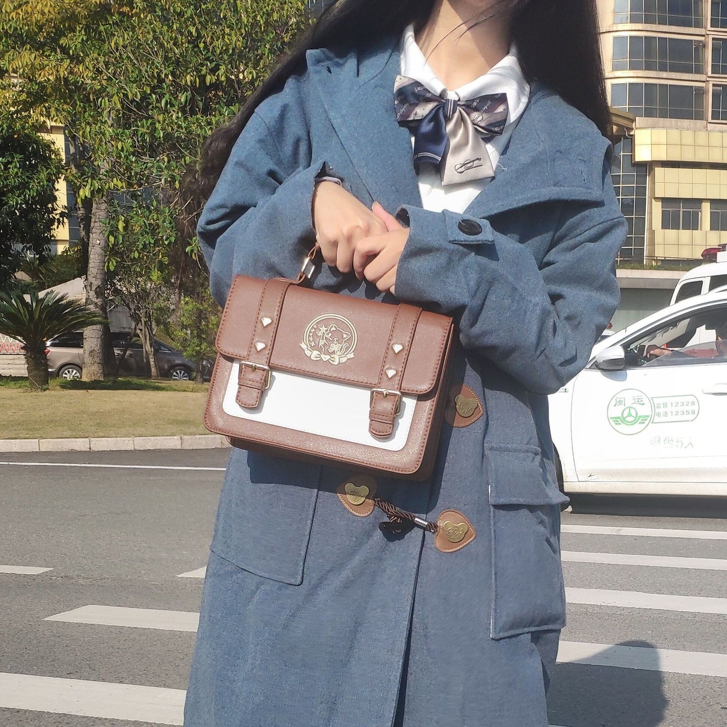 Cat Embroidery Portable Messenger Bag
