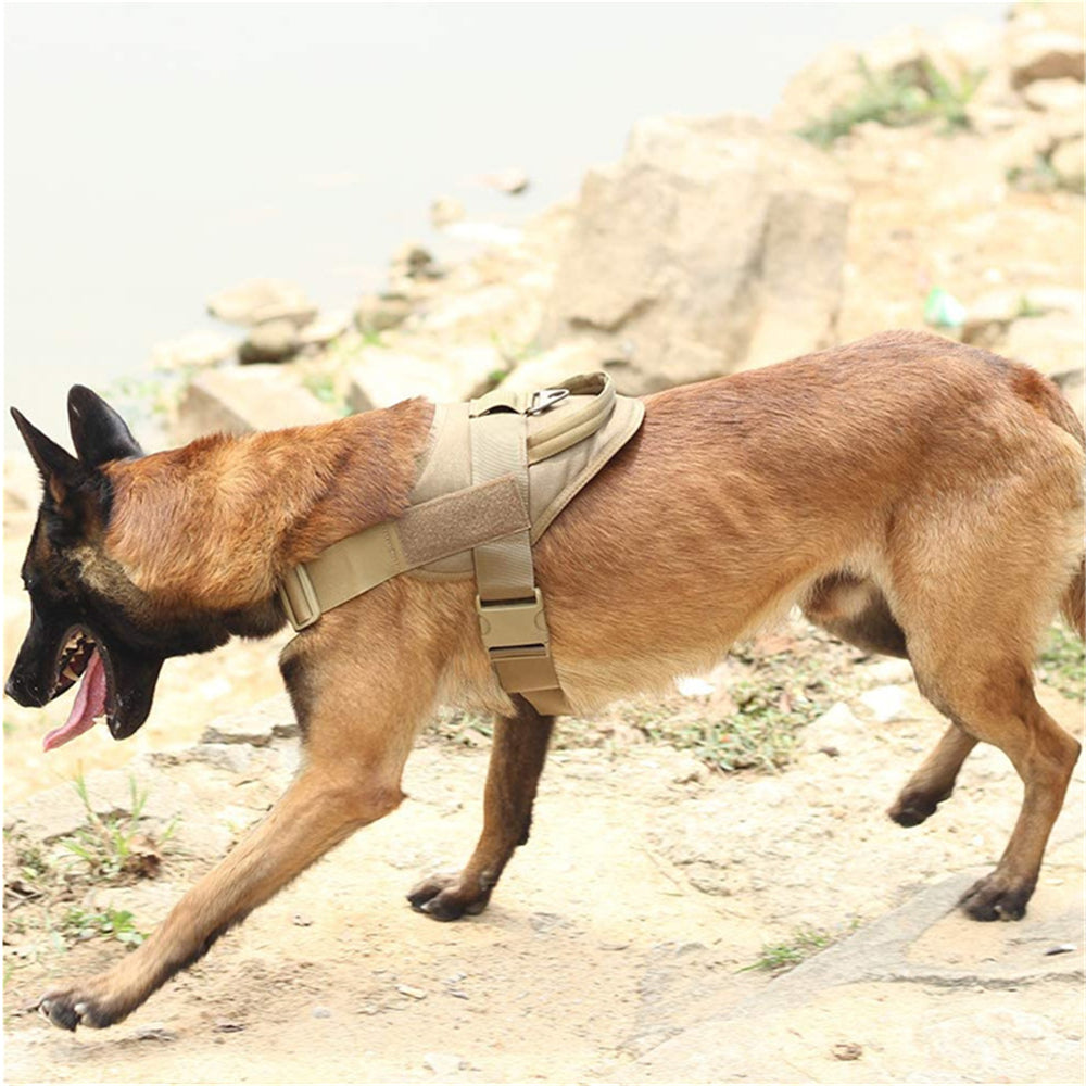 Five-Color High-Quality Tactical Training Dog Vest, Lightweight Patrol Dog Vest, K9 Chest Strap