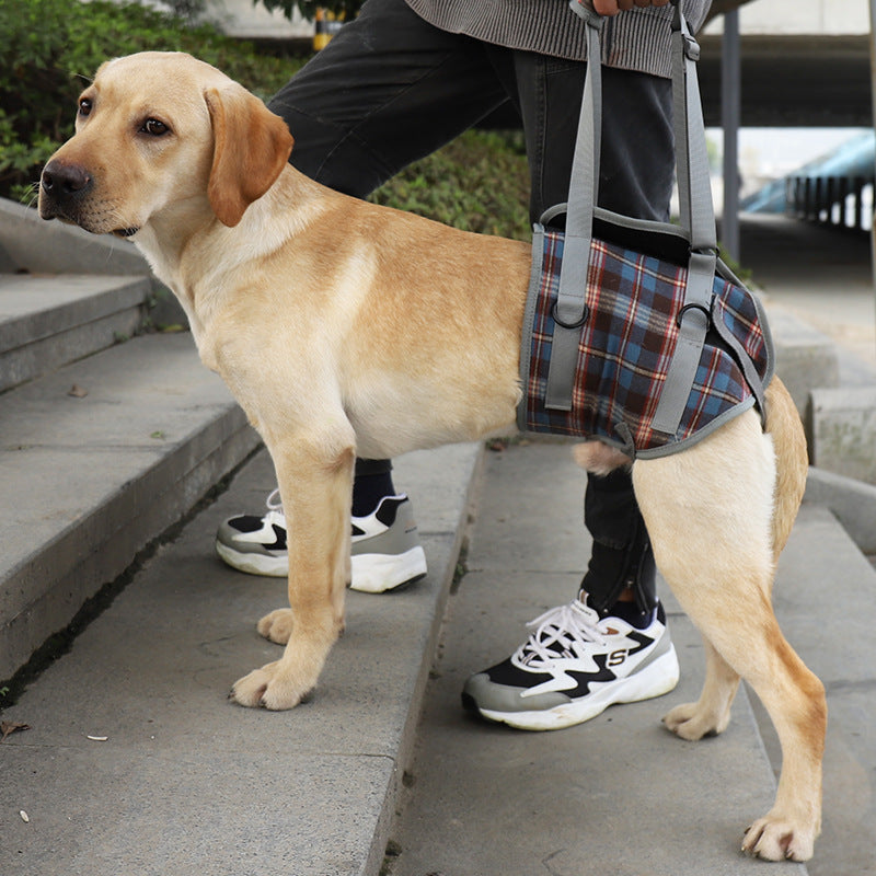 Assistive Belt For Pet Legs  Hind Legs  Postoperative Rehabilitation Belt For Elderly Dogs Assisted Walking Sling  Leggings