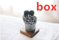 Three-dimensional cake socks home floor socks pearl velvet tube female socks